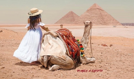 Tour Por Egipto 