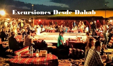 Tour de Paseo en Camello y Cena Beduina Desde Dahab