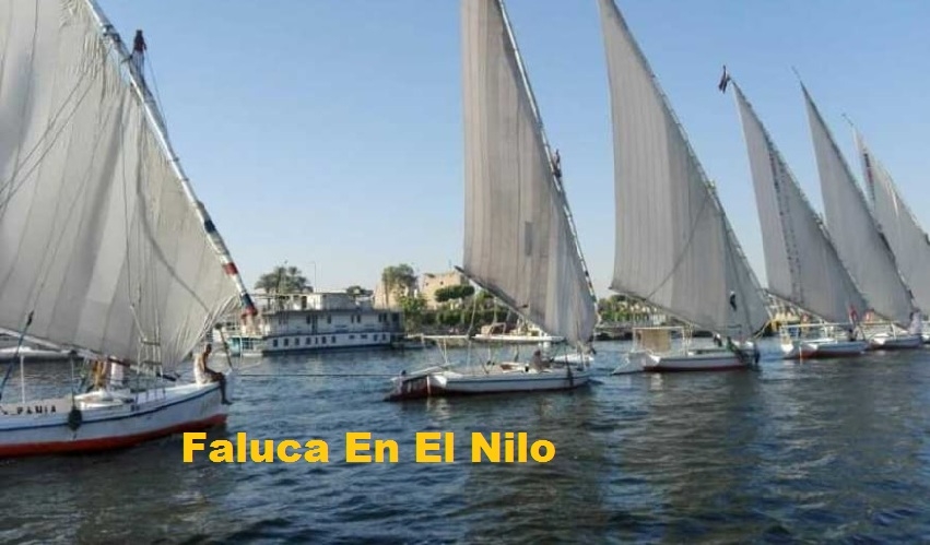 Excursión Faluca Por El Nilo en El Cairo 