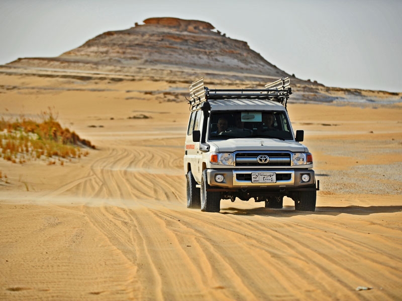 Viajes al Desierto de Egipto En Siwa y Bahariya