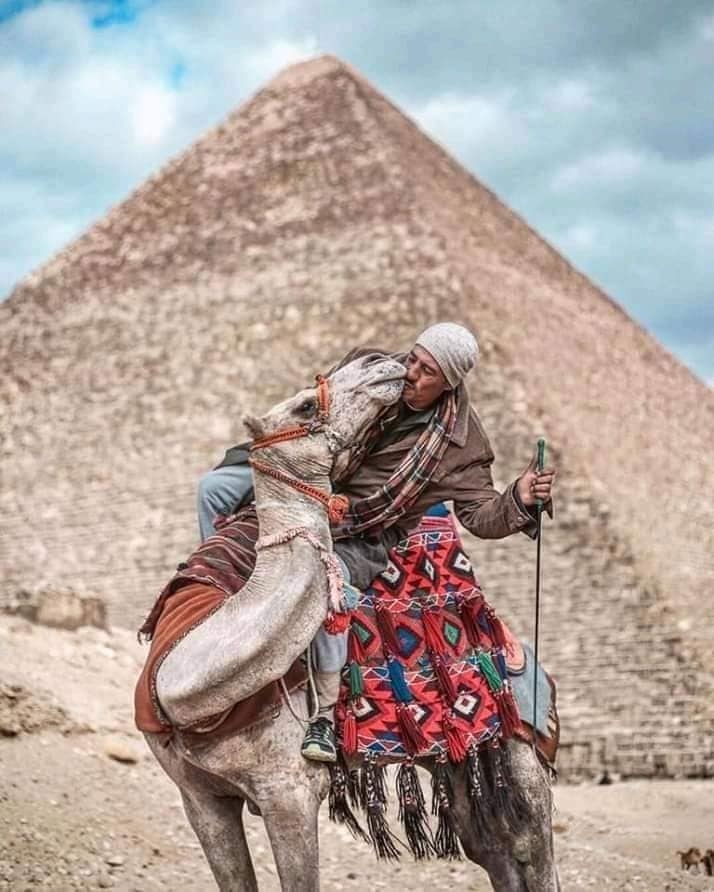 Tour al Cairo y Luxor Egipto